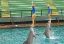 Miami Seaquarium with Transportation